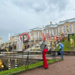 Миниатюра фото Вивьен