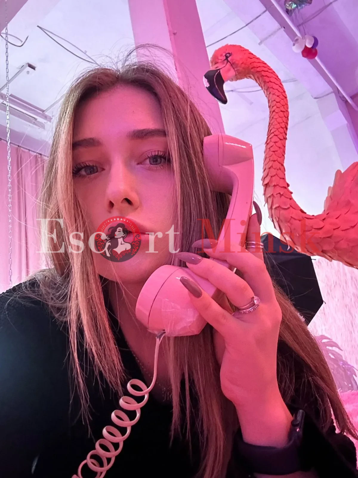  Элитная проститутка Минска — 20 лет, грудь 1 размера, рост 168, вес 58