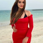 Миниатюра фото Ламель